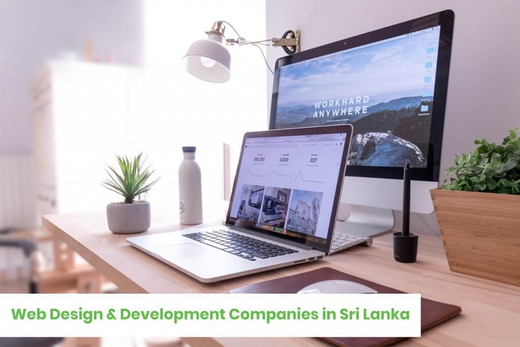 Web Design & Development Companies